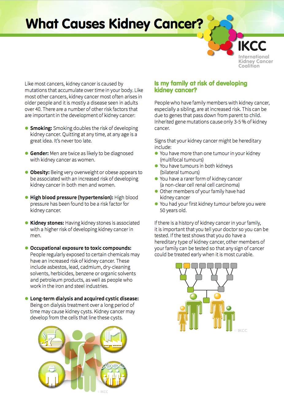 Kidney cancer fact sheets ikcc