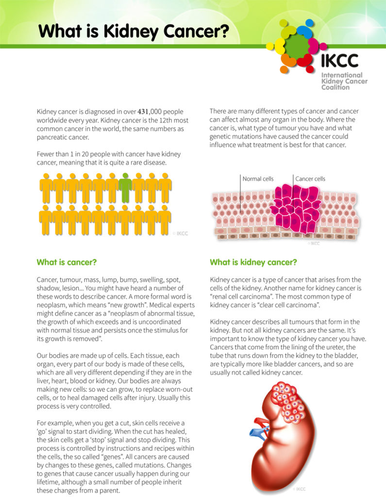 Printable Abc And Number Sheets For Kidney Gardeners Free